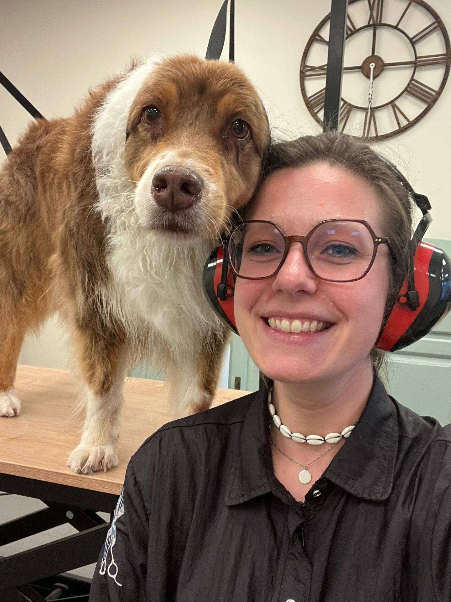 Morgane et un berger australien lors du soin